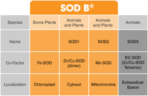 SOD B® - Bionov, World's Largest SOD Producer