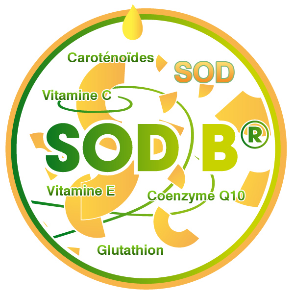 SOD B® - Bionov, Plus Grand Producteur Mondial De SOD